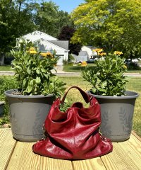 IMG_0525.jpeg