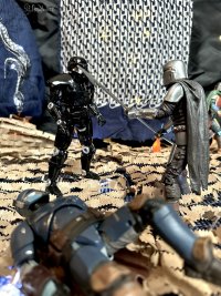 IMG_2601.jpeg