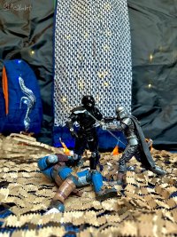 IMG_2618.jpeg