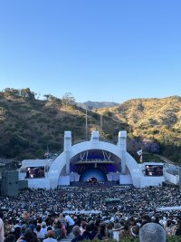IMG_9772.jpeg