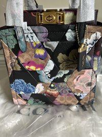 IMG_7135.jpeg