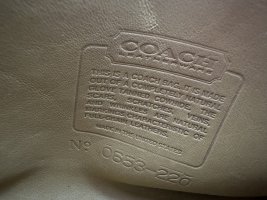 IMG_8250.jpeg