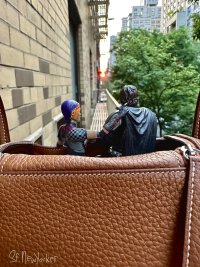 IMG_2750.jpeg