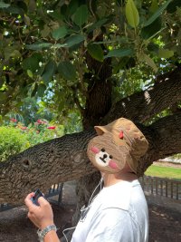 IMG_2479.jpeg
