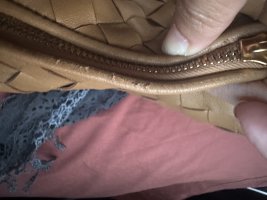 IMG_7384.jpeg