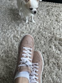 IMG_3241.jpeg