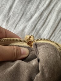 IMG_2341.jpeg