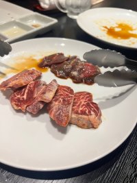 IMG_0286.jpeg