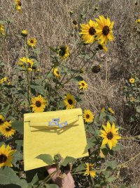 IMG_4391.jpeg