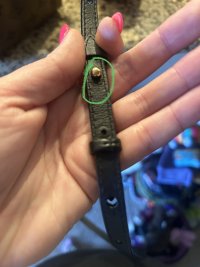 IMG_2035.jpeg