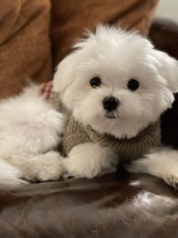 IMG_0849.jpeg