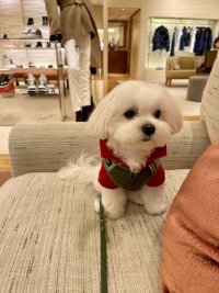 IMG_3323.jpeg