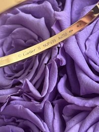 cartier bracelet 2.jpeg