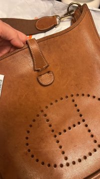 IMG_3557.jpeg