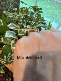 IMG_8047.jpeg