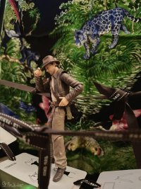 IMG_2395.jpeg