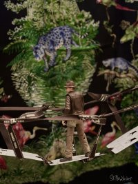IMG_2423.jpeg