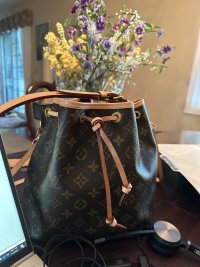 IMG_5337.jpeg