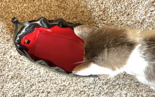 IMG_2627.jpeg