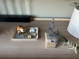 IMG_6081.jpeg