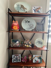IMG_6063.jpeg