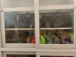 IMG_3350.jpeg