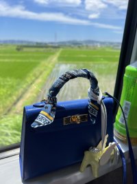 IMG_8976.jpeg