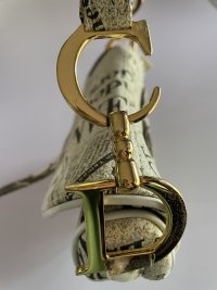 IMG_6556.jpeg