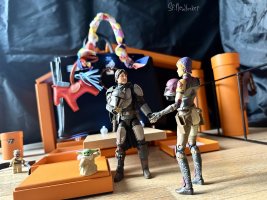 IMG_2156.jpeg