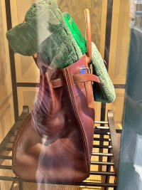 IMG_0407.jpeg