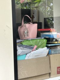 IMG_2484.jpeg