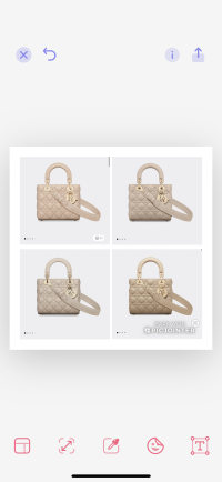Beige Lady Diors PurseForum