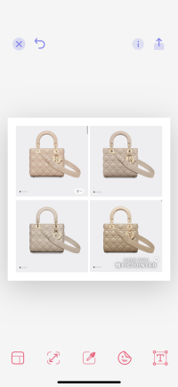 TJ Maxx duney didn't buy  Louis vuitton bag neverfull, Bags