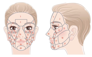 face.png