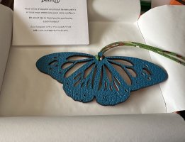 IMG_2244.jpeg