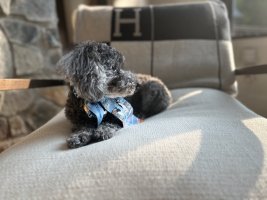 IMG_6987.jpeg
