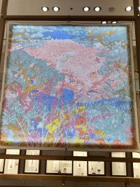 IMG_7293.jpeg