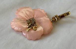 IMG_1202.jpeg