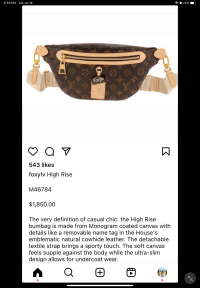 Finally sharing the new LV High Rise Bumbag that I preordered in July!, LOUIS  VUITTON