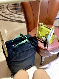 IMG_2975.jpeg