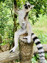 IMG_3262.jpeg