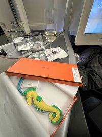 IMG_7781.jpeg