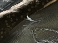 1691162347816.png