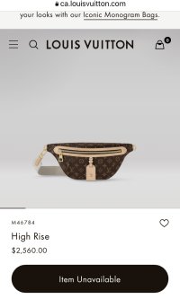 Louis Vuitton High Rise Bumbag  Reveal & What Fits (Modshots at