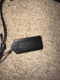 IMG_2089.jpeg