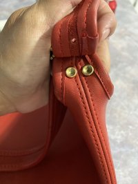 IMG_7204.jpeg