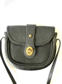 saddlebag.jpg