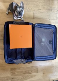 IMG_0610.jpeg