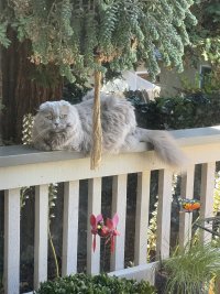 IMG_6374.jpeg