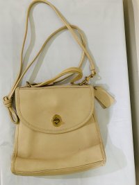 thetealswan fake coach B5F-9983 front.jpeg